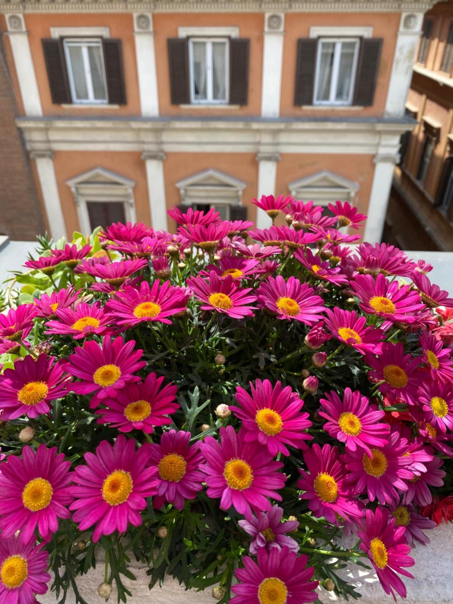 Terrazza Marco Antonio Luxury Suite Rzym Zewnętrze zdjęcie