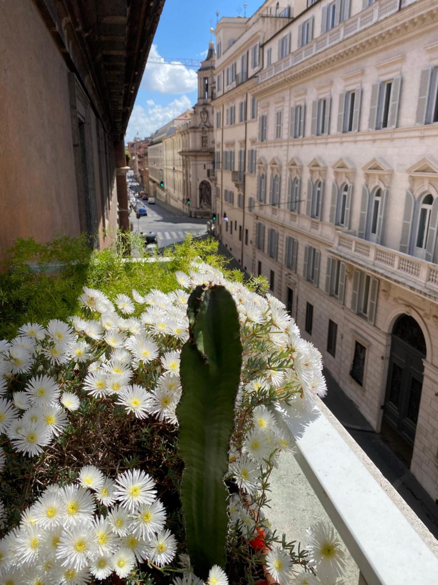Terrazza Marco Antonio Luxury Suite Rzym Zewnętrze zdjęcie